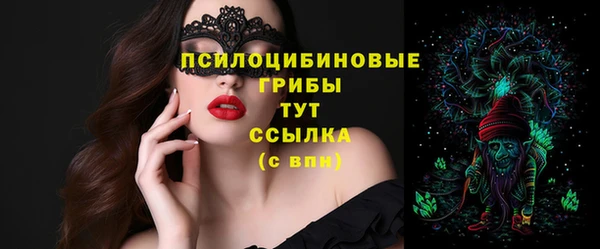 стаф Абаза