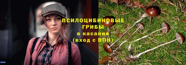 трава Заводоуковск